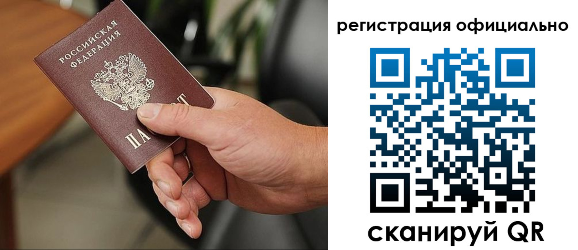 прописка гарантия в Кировске